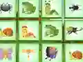 Spel Find The Insect aanlyn