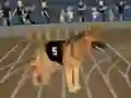 Spel Crazy Dog Racing Fever aanlyn