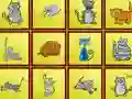 Spel Cats Findiff aanlyn