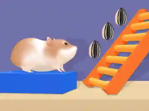 Spel Hamster Stack Maze aanlyn
