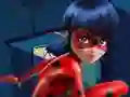 Spel Ladybug Jigsaw aanlyn