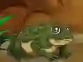 Spel Frogs Matching aanlyn