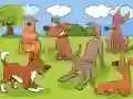Spel Animals Differences aanlyn