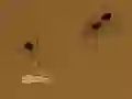 Spel Save the crumb aanlyn
