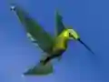 Spel Hummingbird House Escape aanlyn