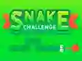 Spel Snake Challenge aanlyn