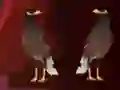 Spel Peikin Duck Escape aanlyn