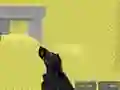 Spel Pixel Combat Multiplayer aanlyn
