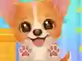 Spel Adopt Your Pet Puppy aanlyn