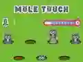 Spel Pole Touch aanlyn
