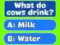 Spel Trivia Best Family Quiz aanlyn