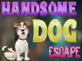 Spel Handsome Dog Escape aanlyn