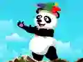 Spel Panda Shooter aanlyn