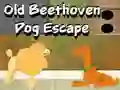 Spel Old Beethoven Dog Escape aanlyn