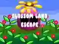 Spel Blossom Land Escape aanlyn