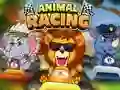 Spel Animal Racing aanlyn