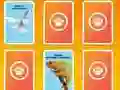 Spel National Geographic Kids Matching aanlyn