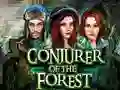 Spel Conjurer Of The Forest aanlyn