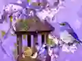 Spel Wonderful Humming Bird Land Escape aanlyn