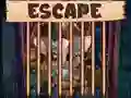 Spel Beautiful Little Bat Escape aanlyn
