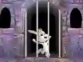 Spel Victory Rabbit Escape aanlyn