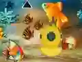 Spel Save The Mother Fish aanlyn