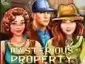 Spel Mysterious Property aanlyn