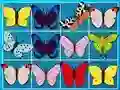 Spel King Of Mahjong aanlyn