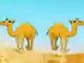 Spel Desert Gold Rush The Great Treasure Escape aanlyn