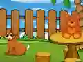 Spel Funny Iguana Escape aanlyn