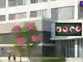 Spel Escape From The Hospital aanlyn
