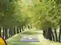 Spel Pair of Cat Escape aanlyn