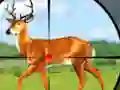 Spel Wild Hunt Hunting Games 3D aanlyn