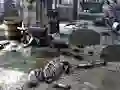 Spel Friends Rescue From Skeleton aanlyn