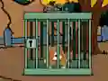 Spel Staffordshire Bull Terrier Escape aanlyn