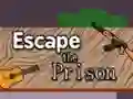 Spel Escape the Prison aanlyn