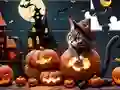 Spel Jigsaw Puzzle: Halloween Cat aanlyn