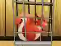 Spel Rescue The Red Squirrel From Cage aanlyn
