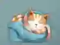 Spel Adorable Escape Find Cute Kitten aanlyn