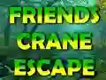 Spel Friends Crane Escape aanlyn