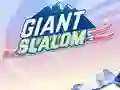 Spel Giant Slalom aanlyn