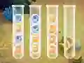 Spel Sort Bubbles aanlyn