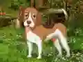 Spel Flower Garden Dog Escape aanlyn