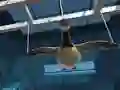 Spel Goose Museum aanlyn