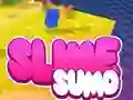 Spel Sumo Slime 3D aanlyn