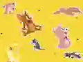 Spel The Tom and Jerry Show Find it! aanlyn