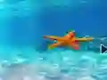 Spel Escape From Underwater Starfish aanlyn
