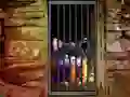 Spel Hidden Cat Escape aanlyn