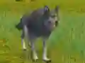 Spel The Wolf: Wild Animal Simulator aanlyn