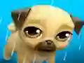 Spel My Virtual Pet Louie the Pug aanlyn